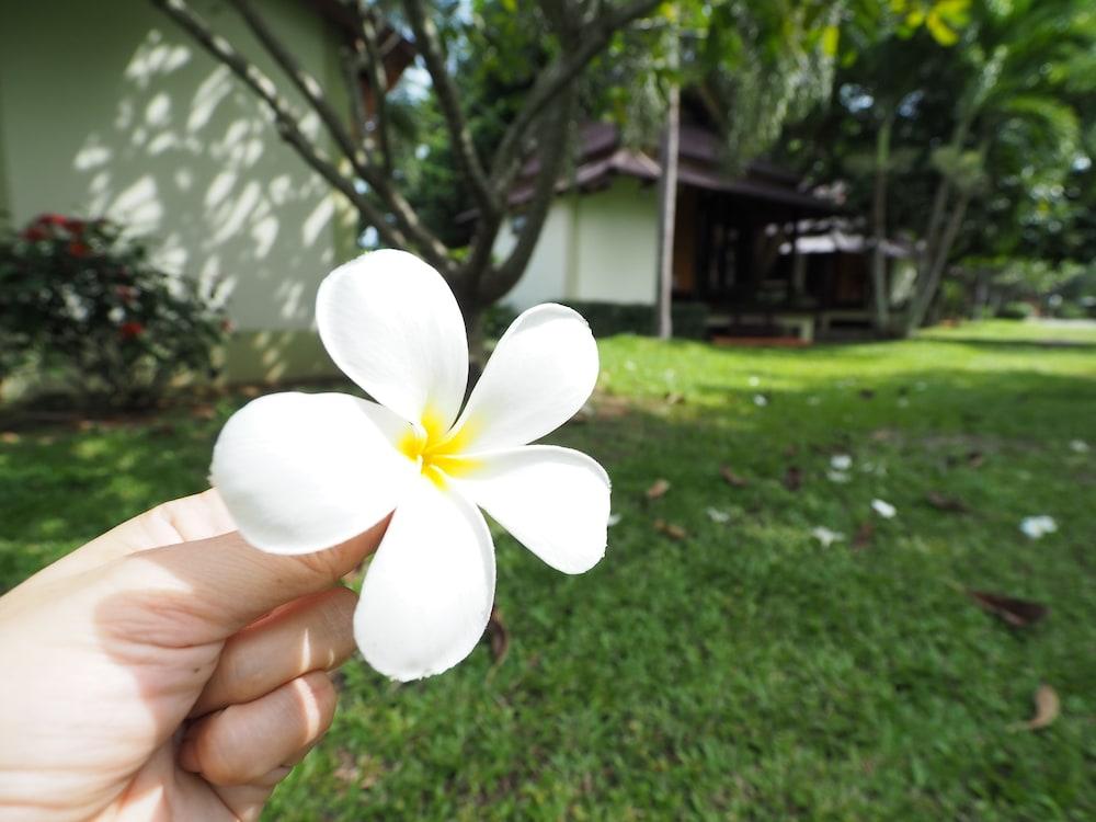 Baan Pun Sook Resort Praia de Chao Lao Exterior foto