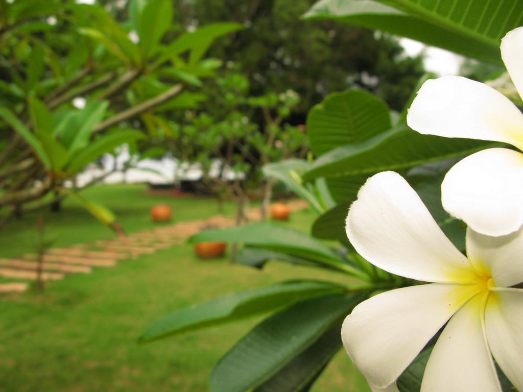 Baan Pun Sook Resort Praia de Chao Lao Exterior foto